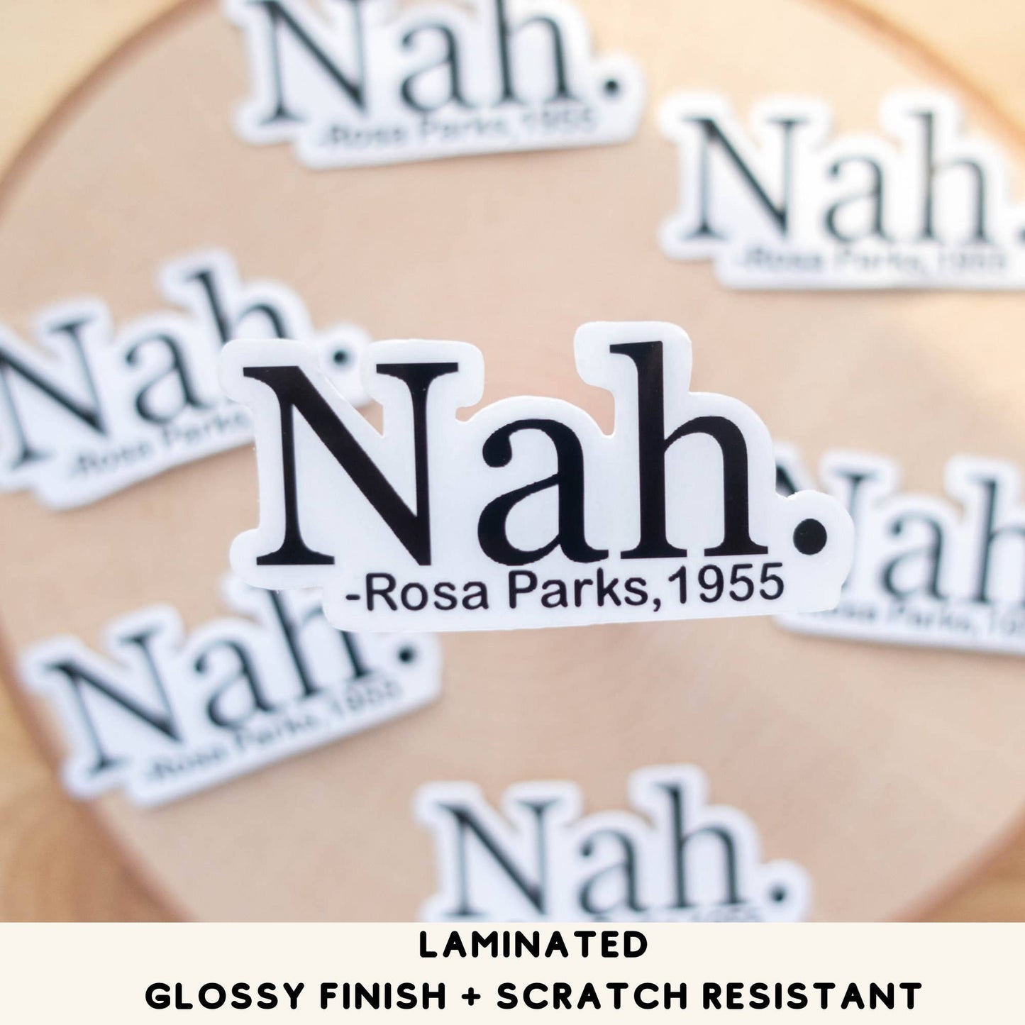 Vinyl Stickers- Rosa Parks Civil Rights Quote