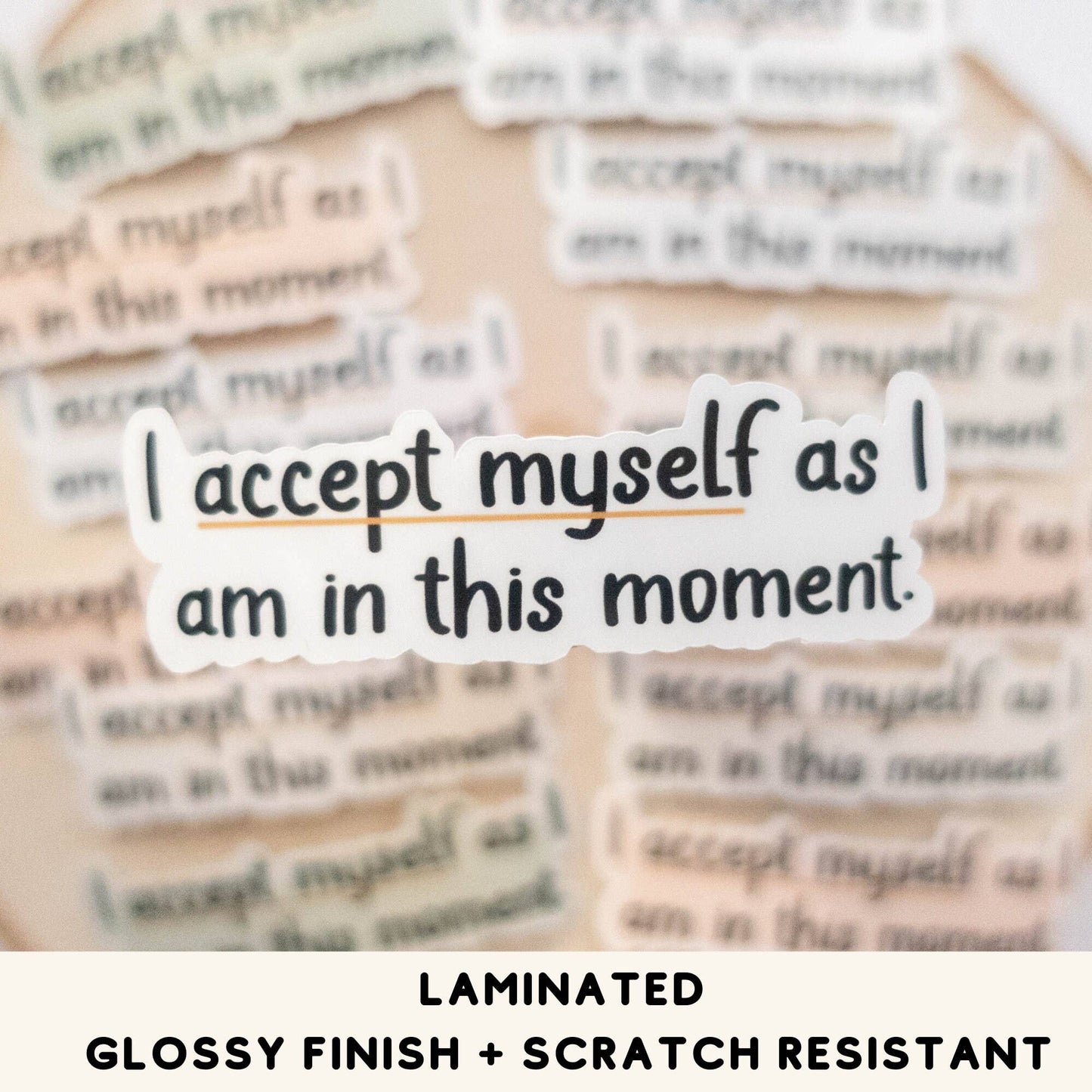 Vinyl Sticker I Accept Myself