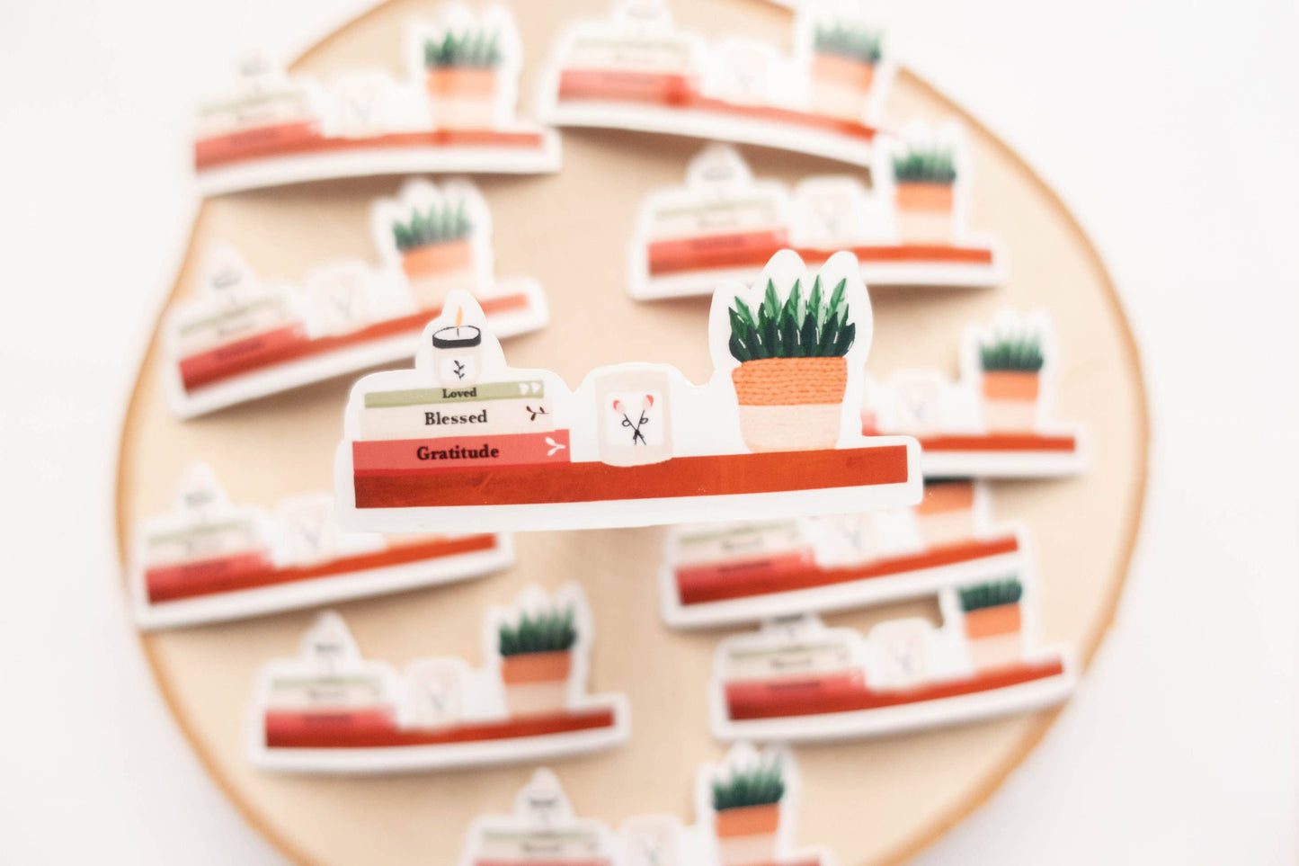 Vinyl Stickers - Book Shelf