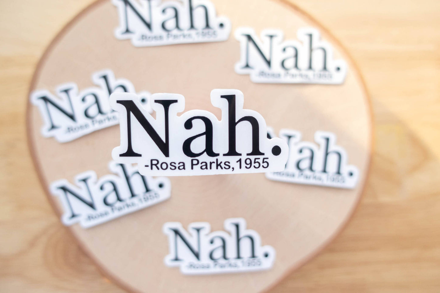 Vinyl Stickers- Rosa Parks Civil Rights Quote