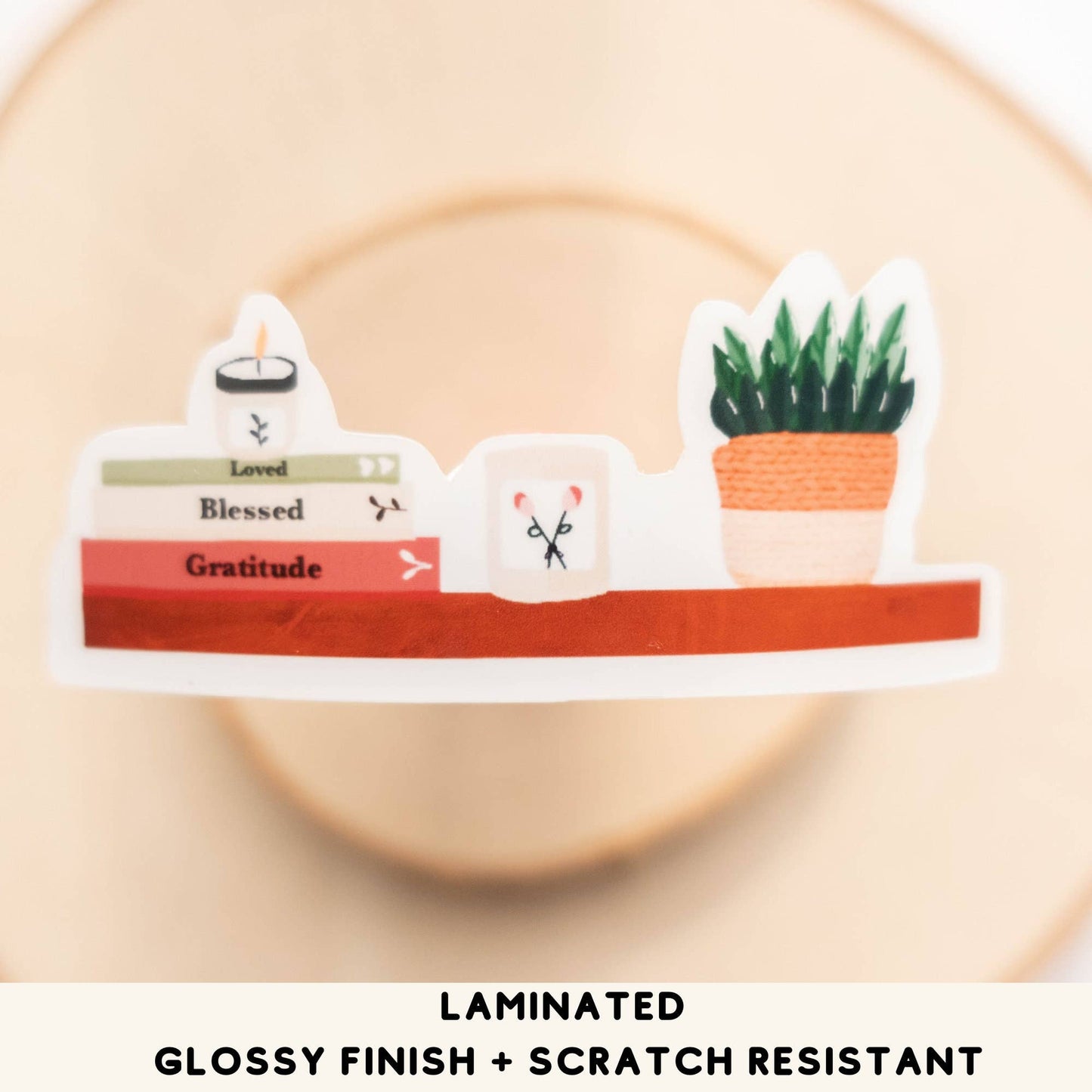 Vinyl Stickers - Book Shelf